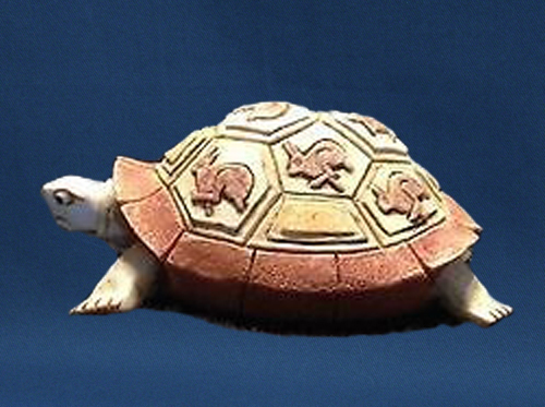 Swifty (the tortoise)